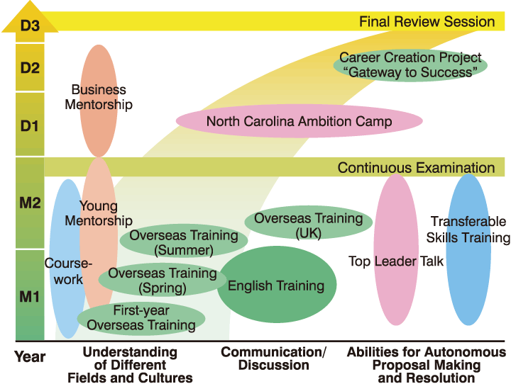 Developing progressively from cultural understanding to acquisition of problem-solving abilities